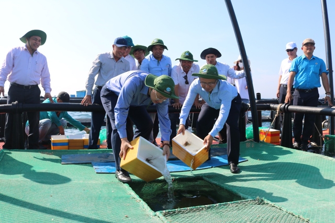 Bí thư Tỉnh ủy Khánh Hòa và Phó Chủ tịch UBND tỉnh Khánh Hòa Trần Hòa Nam thả những con tôm đầu tiên ở vùng biển hở. Ảnh: KS.