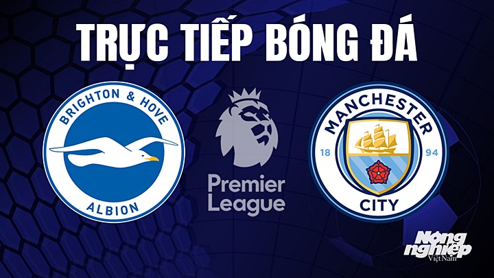 Trực tiếp bóng đá Ngoại hạng Anh giữa Brighton vs Man City hôm nay 25/5/2023