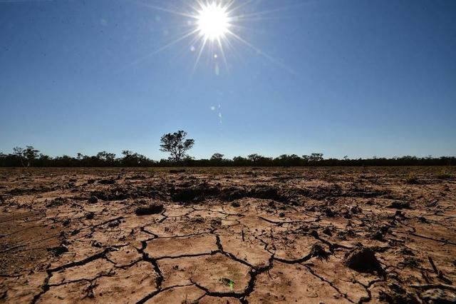 According to various forecasts, the heat and drought will be more severe compared to previous years.