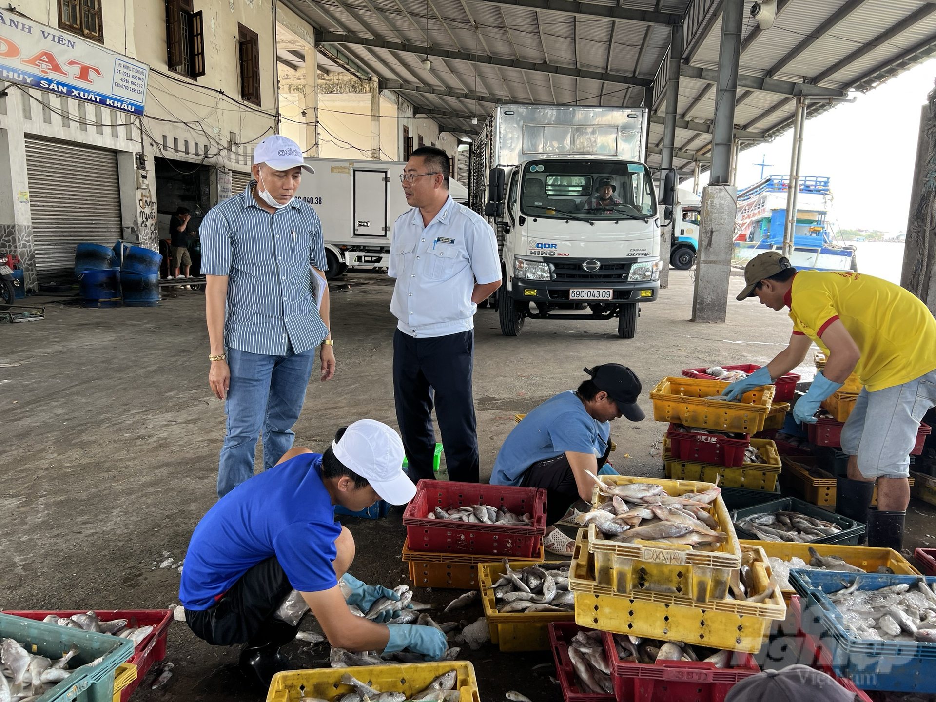 Lực lượng chức năng tại cảng cá Sông Đốc (huyện Trần Thời) kiểm tra sản lượng khai thác nhập cảng. Ảnh: Quốc Việt.