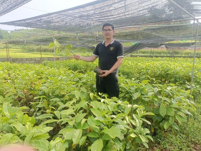 Giám đốc HTX, anh Bùi Văn Tường kiểm tra cây giống trước khi xuất vườn. Ảnh: Hải Tiến.