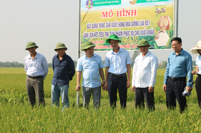 Lãnh đạo Sở NN-PTNT Hải Phòng, Trung tâm Khuyến nông và lãnh đạo huyện Vĩnh Bảo kiểm tra hiệu quả mô hình. Ảnh: Đinh Mười.