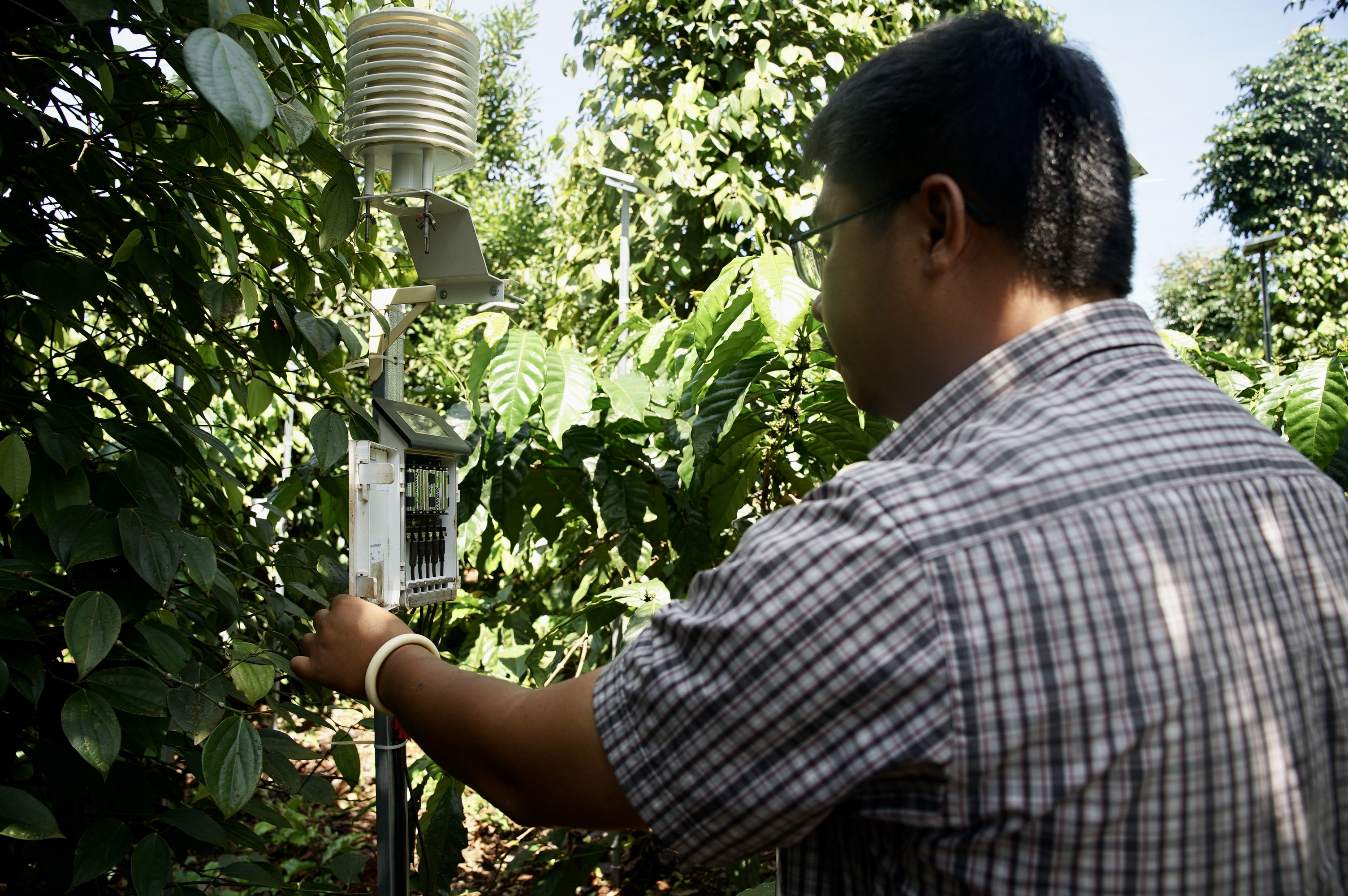 Kỹ thuật viên phụ trách máy đo tiểu khí hậu được lắp đặt tại vườn nhà anh Đỗ Văn Ánh. Ảnh: Linh Linh. 