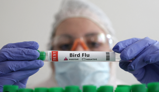 A person holds a test tube labelled 'Bird Flu', in this picture illustration, January 14, 2023. Photo: REUTERS/Dado Ruvic/Illustration 