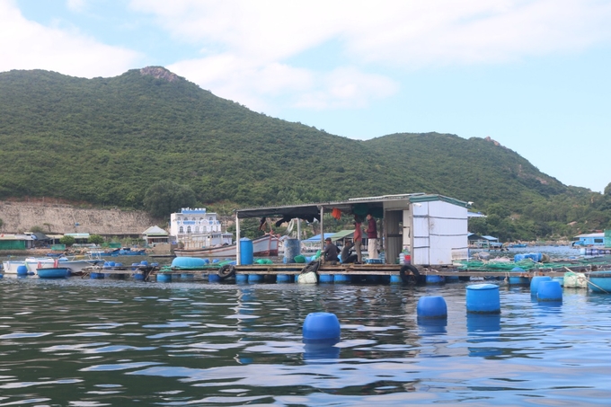 Vùng nuôi trồng thủy sản ở xã Cam Bình, TP Cam Ranh. Ảnh: KS.