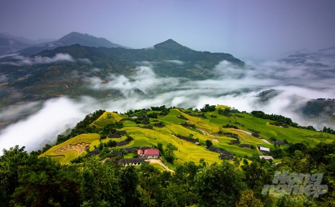 The terraced fields of Hoang Su Phi were granted the status of 'heritage'. Photo: Huy Ha.