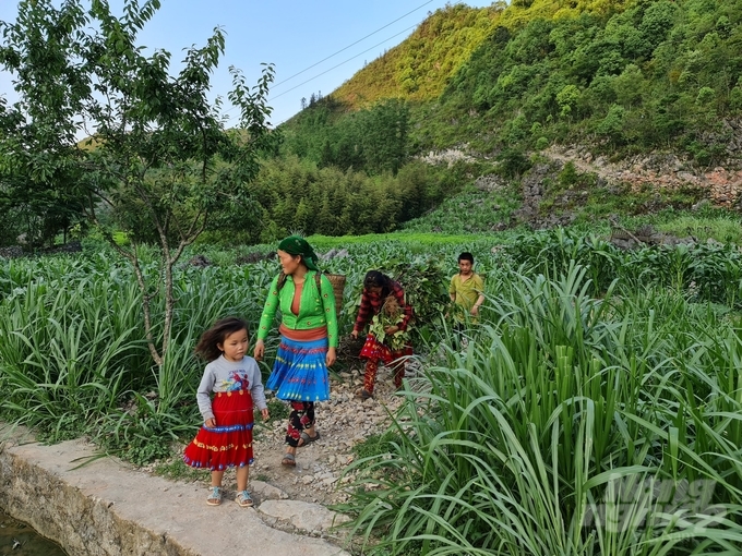 Lầu Thị Lúa, cô gái Mông đánh rơi tuổi xuân ở phiên chợ xã Lũng Pù. Ảnh: Đào Thanh.