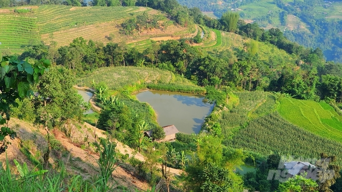 Thửa ruộng bậc thang hình trái tim giữa bản Thèn Phàng đã thành hình, tồn tại suốt mấy chục năm qua... Ảnh: Kiên Trung.