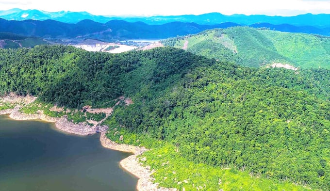 With over 217,000 hectares of natural forest, Ha Tinh is expected to sell 2 millions of carbon credits to international organizations, earning around USD 10 million annually. Photo: Thanh Nga.