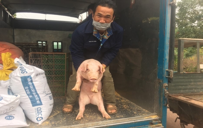 Người dân tham gia dự án vui mừng khi được nhận lợn giống để chăn nuôi theo phương pháp an toàn sinh học. Ảnh: Nguyễn Thành.