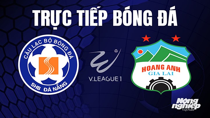 Trực tiếp bóng đá V-League 2023 giữa Đà Nẵng vs HAGL hôm nay 27/5/2023