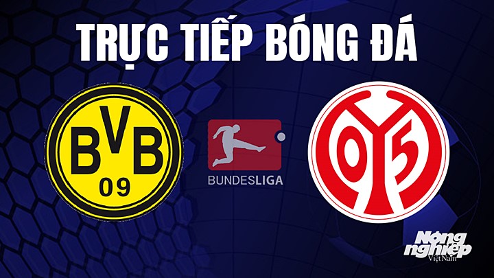 Trực tiếp bóng đá Bundesliga (VĐQG Đức) 2022/23 giữa Dortmund vs Mainz 05 hôm nay 27/5/2023