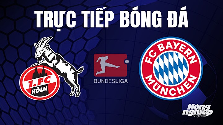 Trực tiếp bóng đá Bundesliga (VĐQG Đức) 2022/23 giữa Koln vs Bayern Munich hôm nay 27/5/2023