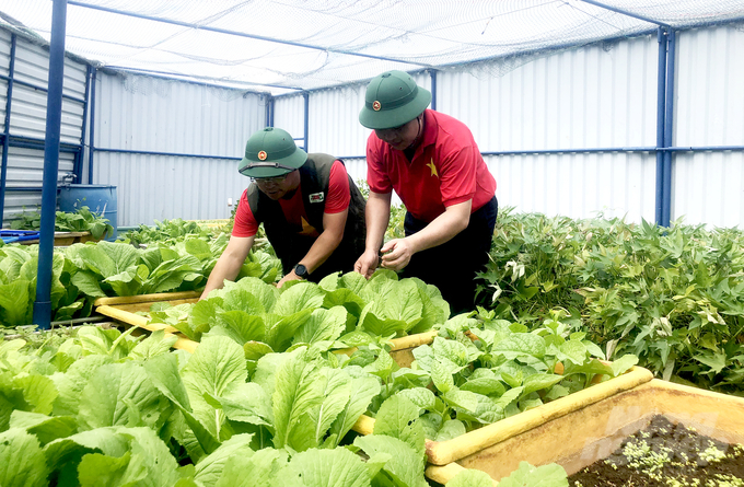 Nhà giàn DK1 dành được một phần diện tích nhỏ trên tầng thượng để tăng gia sản xuất và trồng được nhiều loại rau xanh cải thiện cho bữa ăn hàng ngày của đơn vị. Ảnh: Ngô Xuân Chinh.