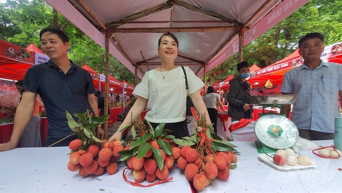 Hợp tác xã Vải trứng Hưng Yên mang theo cả những quả trứng gà để so sánh với kích thước quả vải có cùng tên gọi. Ảnh: Kiên Trung.