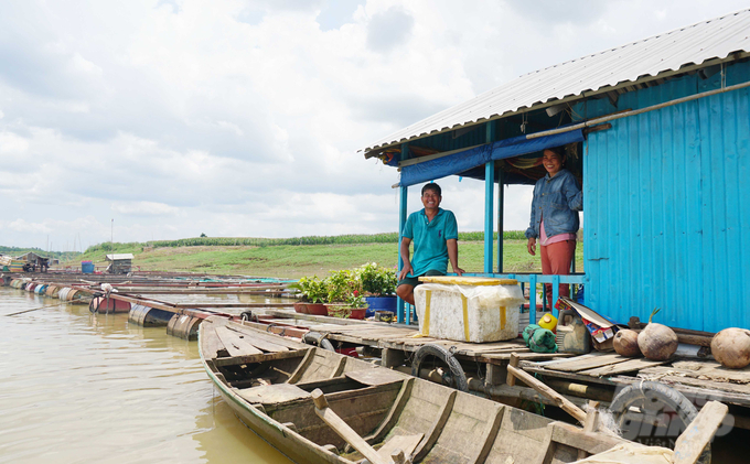 Nhờ di chuyển vào đúng vùng quy hoạch, nhiều hộ nuôi cá lồng bè an tâm sản xuất, ít bị thiệt hại do con nước thất thường gây ra. Ảnh: Lê Bình.