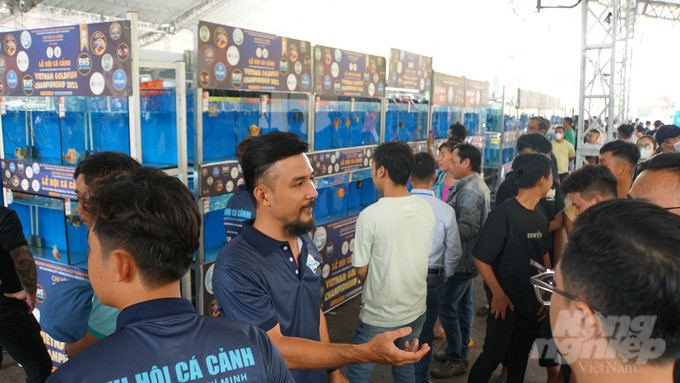 In its three days of organization, the Ho Chi Minh Ornamental Fish Festival attracted thousands of guests who visited and exchanged experiences. Photo: Le Binh.