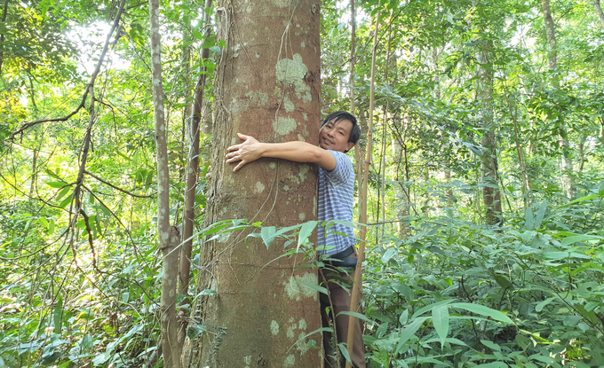 Forest owners looking to make money from selling forest carbon credits must consider expenditures for silvicultural measures as well as forest protection. Photo: Thanh Nga.