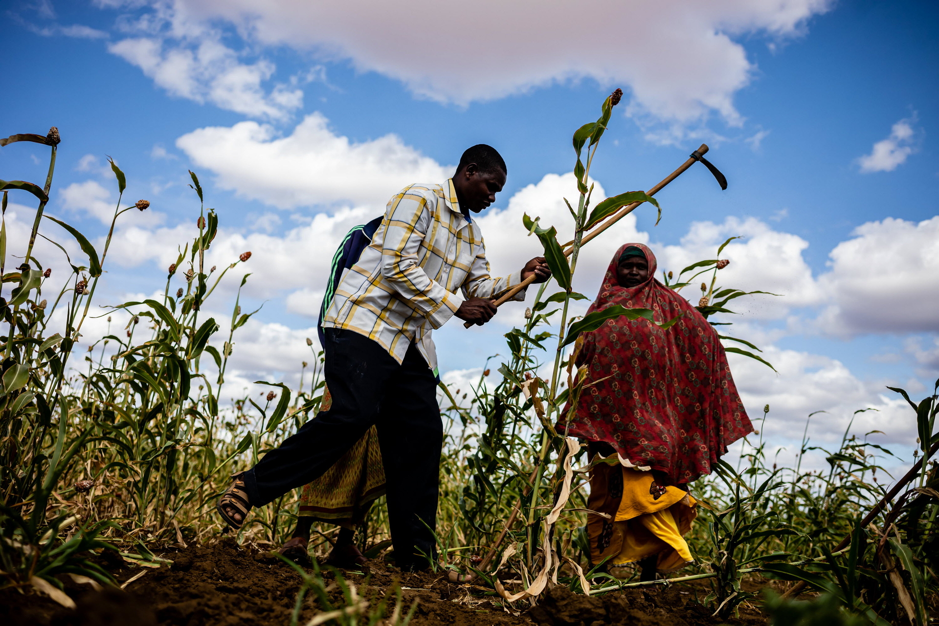 Urgent humanitarian action is needed to save lives and livelihoods and prevent starvation and death in hotspots where acute hunger is at a high risk of worsening from June to November 2023.