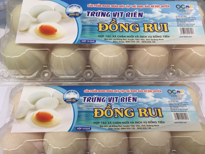 Dong Rui sea duck eggs are currently a 4-star OCOP product of Quang Ninh Province.  Photo: Nguyen Thanh.