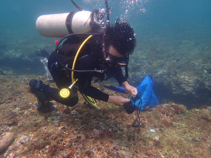 Scientists are working underwater. Photo: The Research Institute for Marine Fisheries.