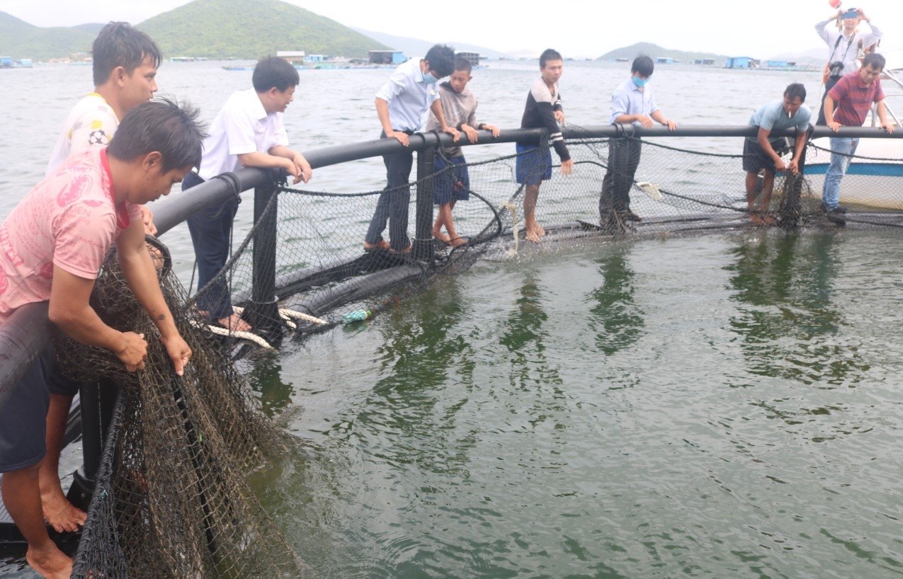 Người nuôi có thể tham khảo mô hình nuôi thủy sản bằng lồng HDPE thân thiện môi trường trên vịnh Vân Phong (Khánh Hòa). Ảnh: KS.