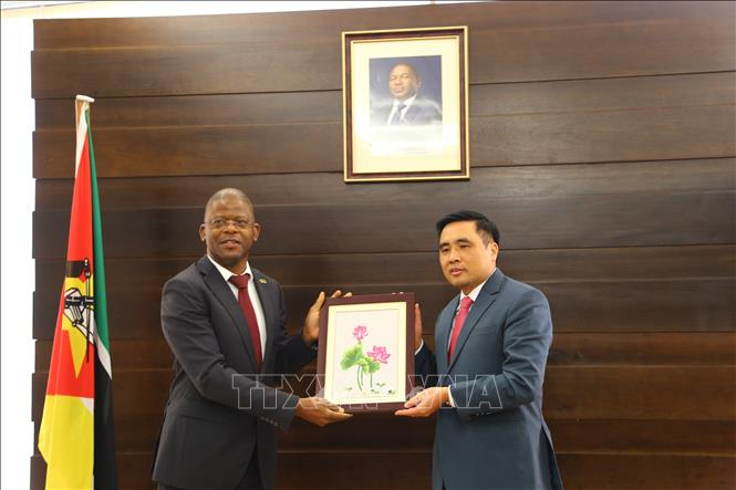 Thứ trưởng Nguyễn Quốc Trị trao quà cho Thứ trưởng Bộ NN-PTNT Mozambique Olegário dos Anjos Banze. Ảnh: TTXVN. 
