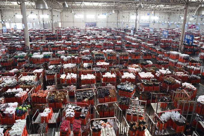 Overview of the extensive international flower trading floor in Yunnan.