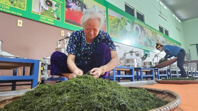Cụ bà Phạm Thị Yên đã ngoài 70 tuổi nhưng vẫn giữ thói quen làm chè hàng ngày. Ảnh: Văn Việt.