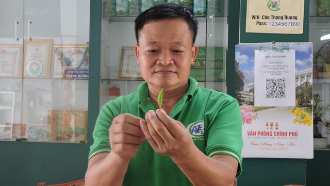 Clement weather, favorable terrain, and concord among the people create the reputation of Tan Cuong tea. Photo: Toan Nguyen.