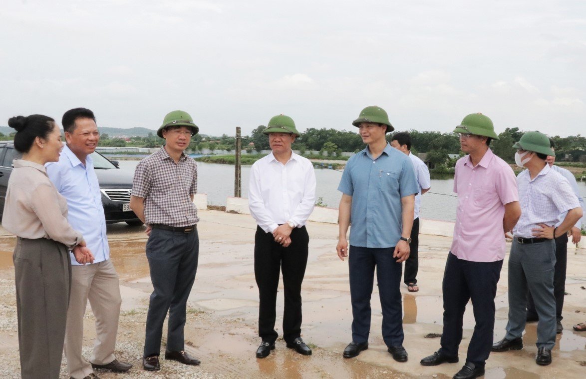 Phó Chủ tịch Thường trực UBND tỉnh Bắc Ninh Vương Quốc Tuấn (thứ 2 bên phải)  kiểm tra thực địa tại đê Hữu Đuống.
