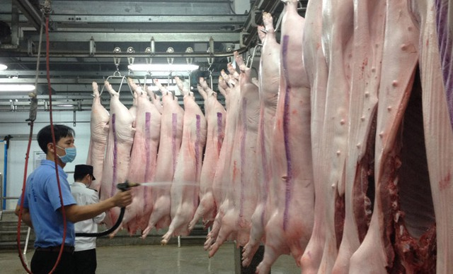Tại TP Hồ Chí Minh, các nhà máy giết mổ gia súc công nghiệp chỉ vận hành với 50% công suất. Ảnh: Linh Linh.