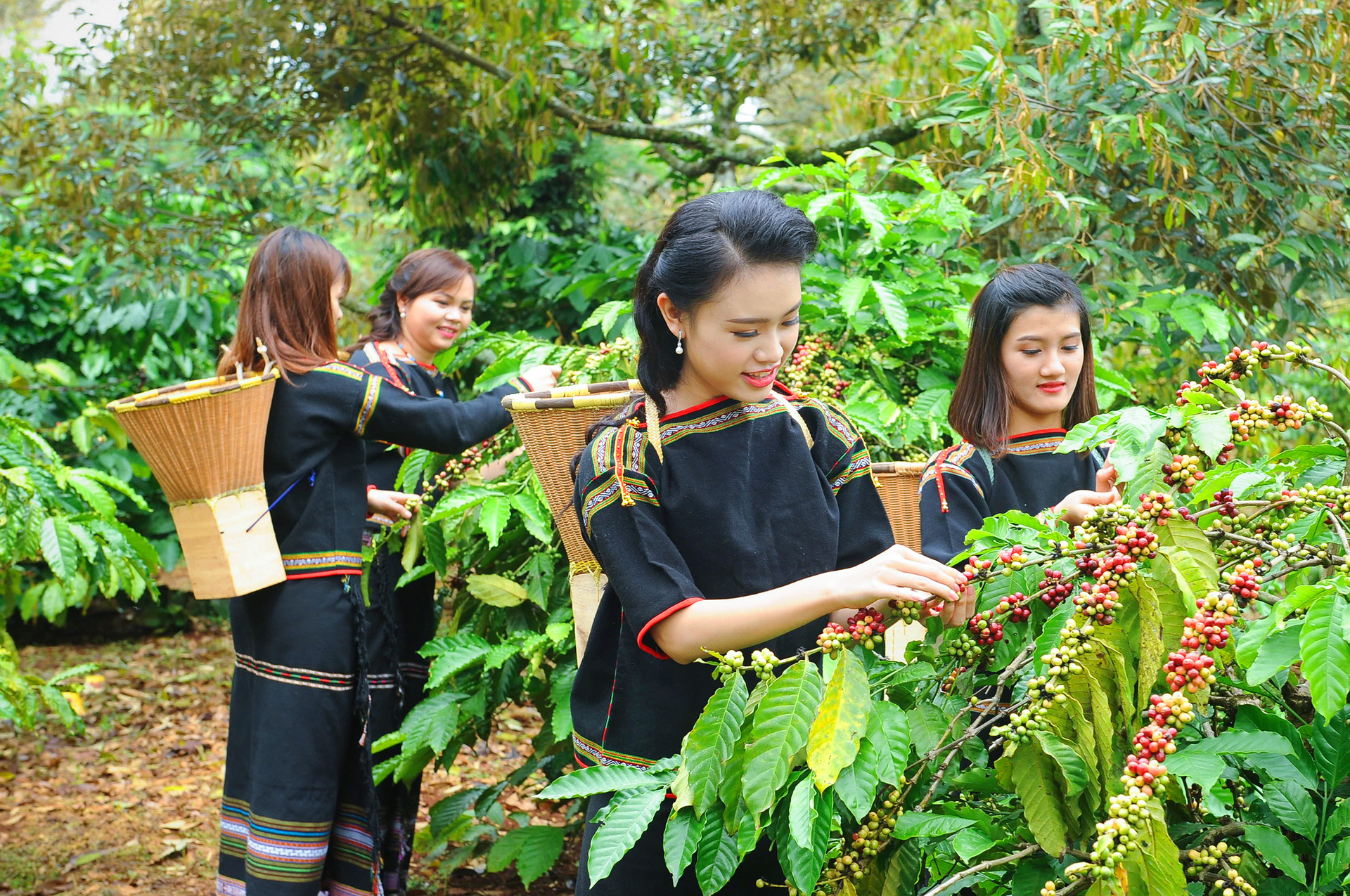 Quy định mới của EU về nông sản không gây mất rừng được nhiều doanh nghiệp, nông dân nhìn nhận là cơ hội để ngành nông nghiệp Việt Nam thay đổi. 
