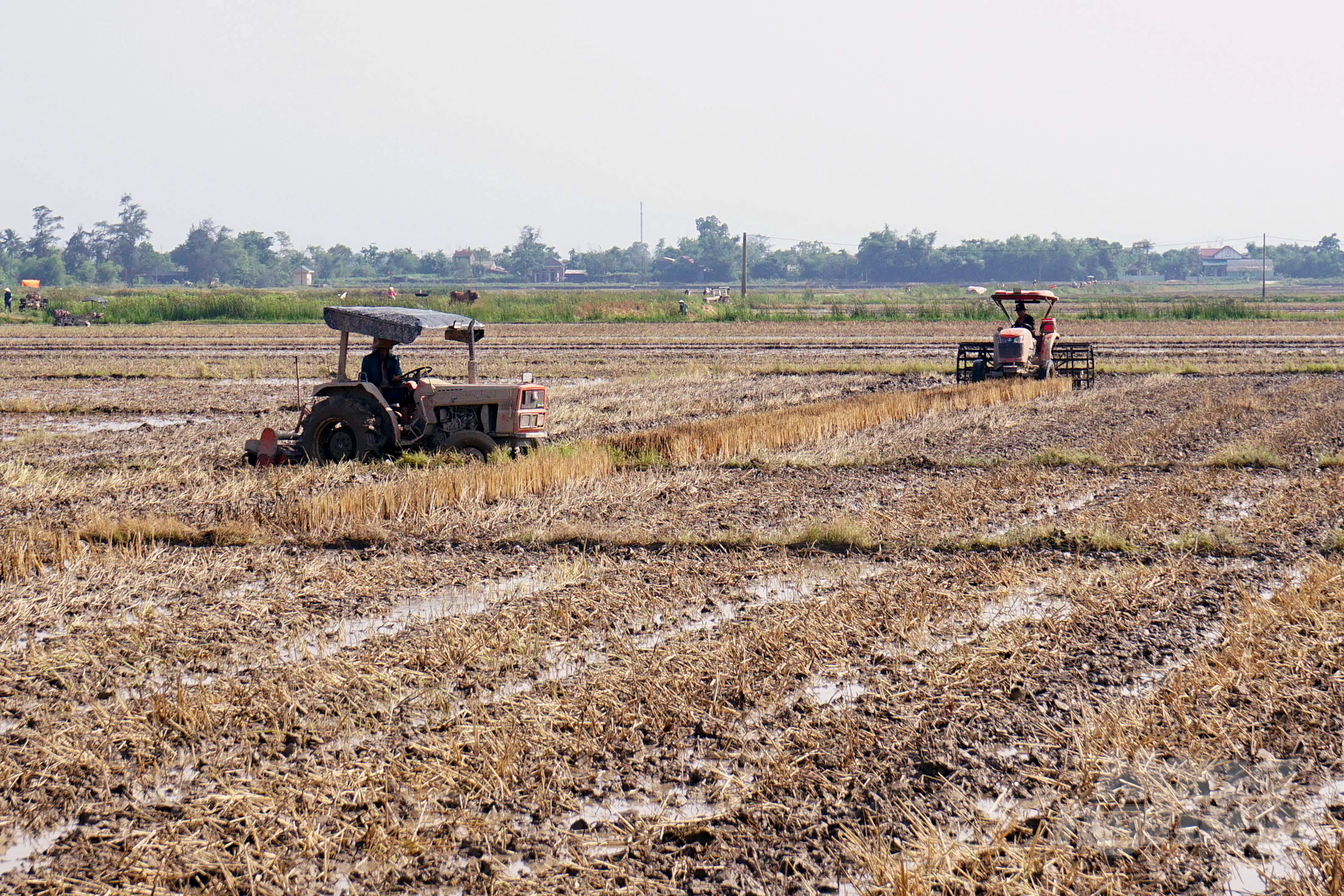 Nông dân Quảng Trị tích cực làm đất gieo sạ lúa hè thu. Ảnh: VD.