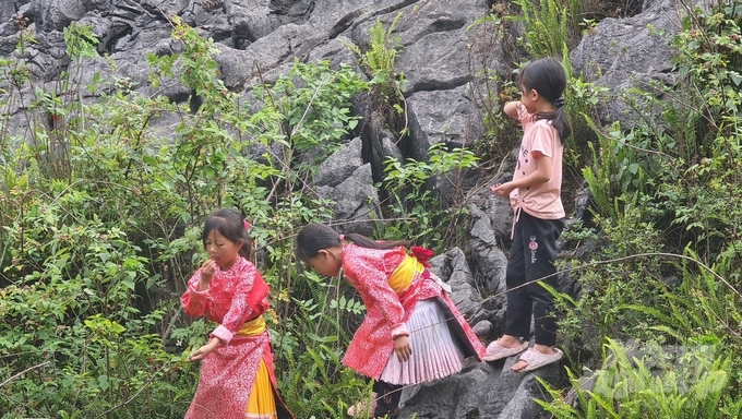 Tuổi thơ trên cao nguyên đá. Ảnh: Thanh Đào.