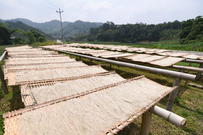 The vermicelli products of Tai Hoan Cooperative are 100% natural, with no preservatives. Photo: Tung Dinh.