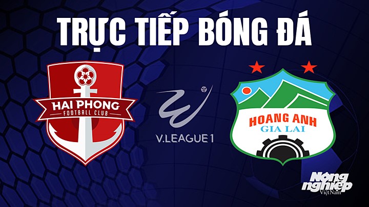 Trực tiếp bóng đá V-League 2023 giữa Hải Phòng vs HAGL hôm nay 4/6/2023