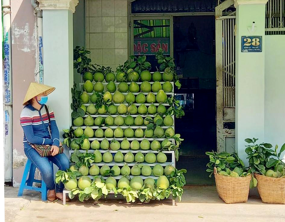 A pomelo shop in Vinh Cuu district, Dong Nai province. Photo: Son Trang.