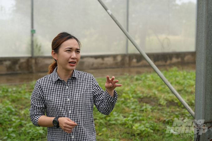 Duong Thi Anh Thu, the production manager of the company, said that Nhat Thong farm has achieved 3 prestigious certificates from the US, Japan, and Europe on clean agriculture. Photo: Hong Thuy.