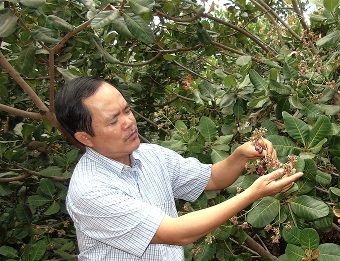 Lão nông Dụng Quý Đông. Ảnh: Tuy Hòa.