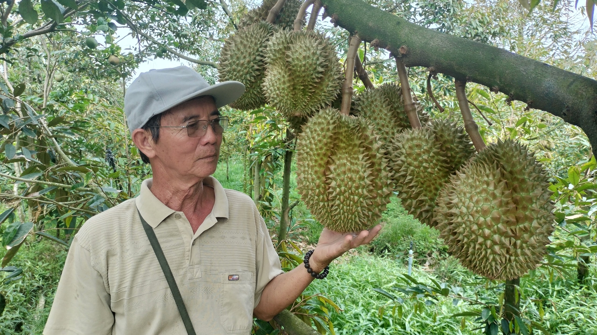 Những năm qua, nông nghiệp - nông thôn Bến Tre đã có sự bứt phá mạnh mẽ trên nhiều lĩnh vực. Ảnh: TL.