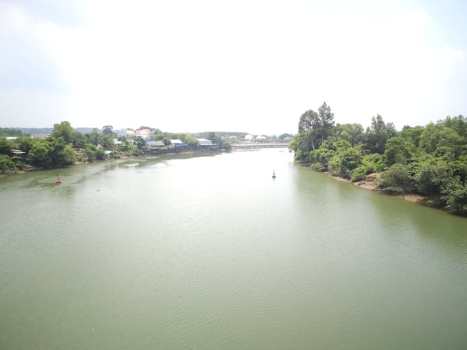 Cầu Bạch Đằng bắc qua sông Đồng Nai, con sông đã giúp mảnh đất cù lao này bao đời màu mỡ, cây cối xanh tươi. Ảnh: Hồng Thủy.