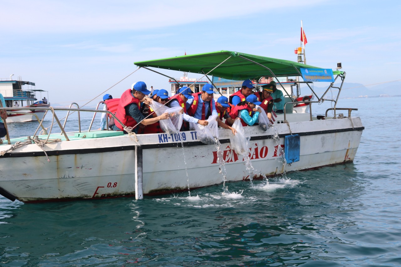 Công ty Yến sào Khánh Hòa thả giống cá biển xuống vùng biển Đông Tằm nhằm tái tạo nguồn lợi thủy sản. Ảnh: KS.