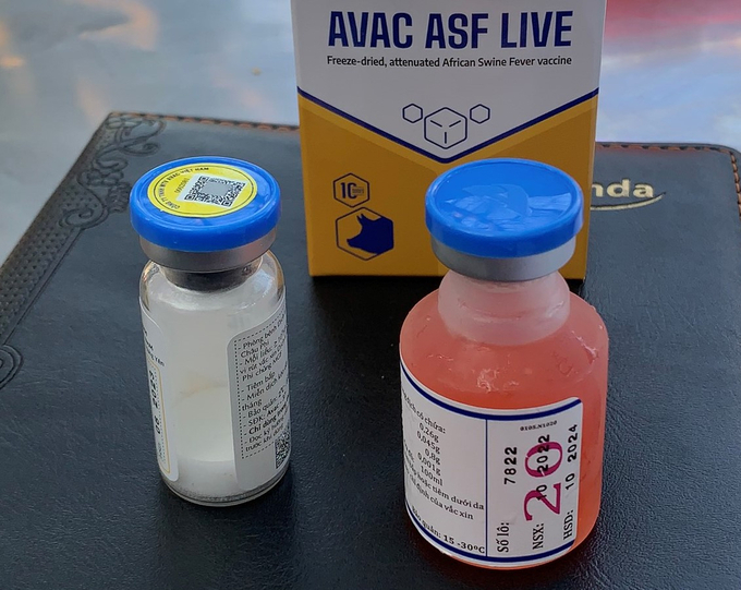Vacxin phòng bệnh dịch tả lợn châu Phi AVAC ASF LIVE do Công ty Cổ phần AVAC Việt Nam nghiên cứu, sản xuất đã được cấp phép lưu hành vào ngày 8/7/2022 và đưa vào sử dụng có giám sát tại các trang trại chăn nuôi lợn. Ảnh: Linh Linh.
