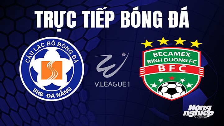 Trực tiếp bóng đá V-League 2023 giữa Đà Nẵng vs Bình Dương hôm nay 5/6/2023