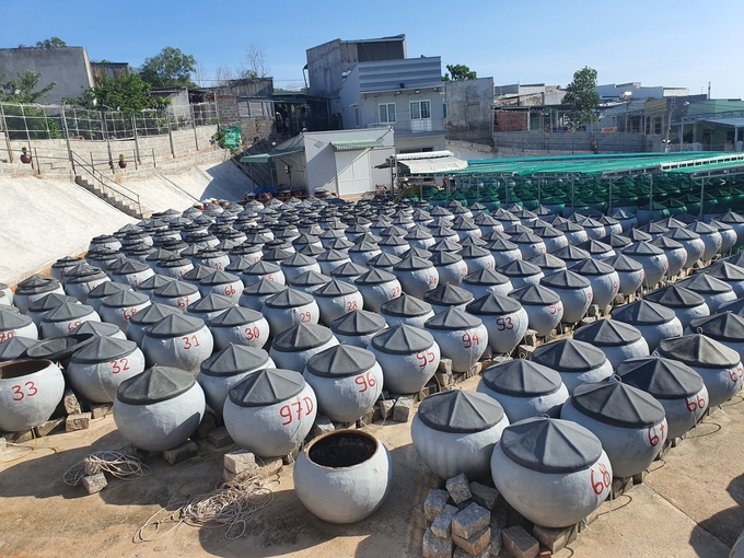 TP Phan Thiết nổi tiếng với sản xuất nước mắm truyền thống lâu năm. Ảnh: KS.