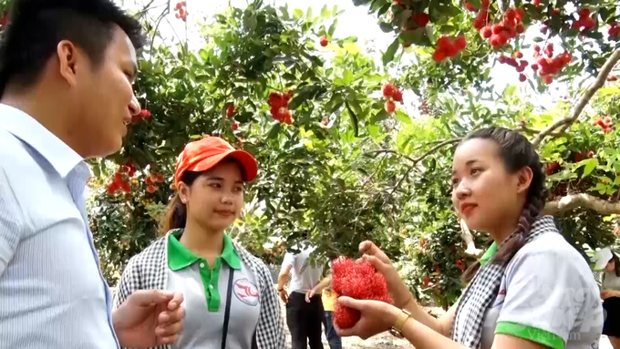 Lễ hội sẽ giới thiệu, quảng bá và kết nối các sản phẩm nông sản, đặc sản trái cây và dịch vụ du lịch của thành phố Long Khánh đến với nhân dân, du khách trong và ngoài tỉnh. Ảnh: Minh Sáng.