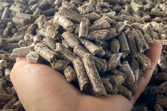 Korea is currently the main import market for Vietnamese wood pellets. Photo: TL.