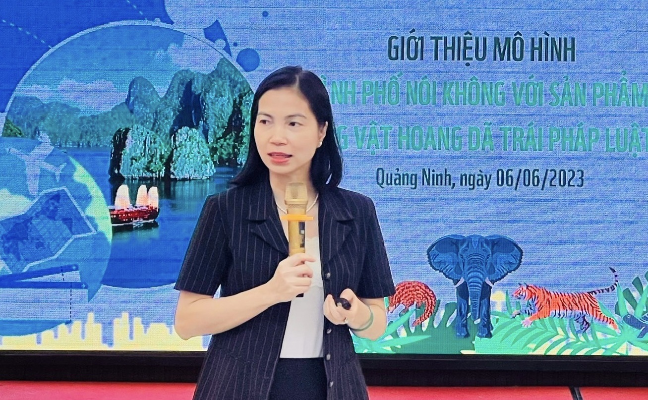 Bà Lê Thị Thu Thủy - Phó Viện trưởng Viện Phát triển Doanh nghiệp (VCCI).