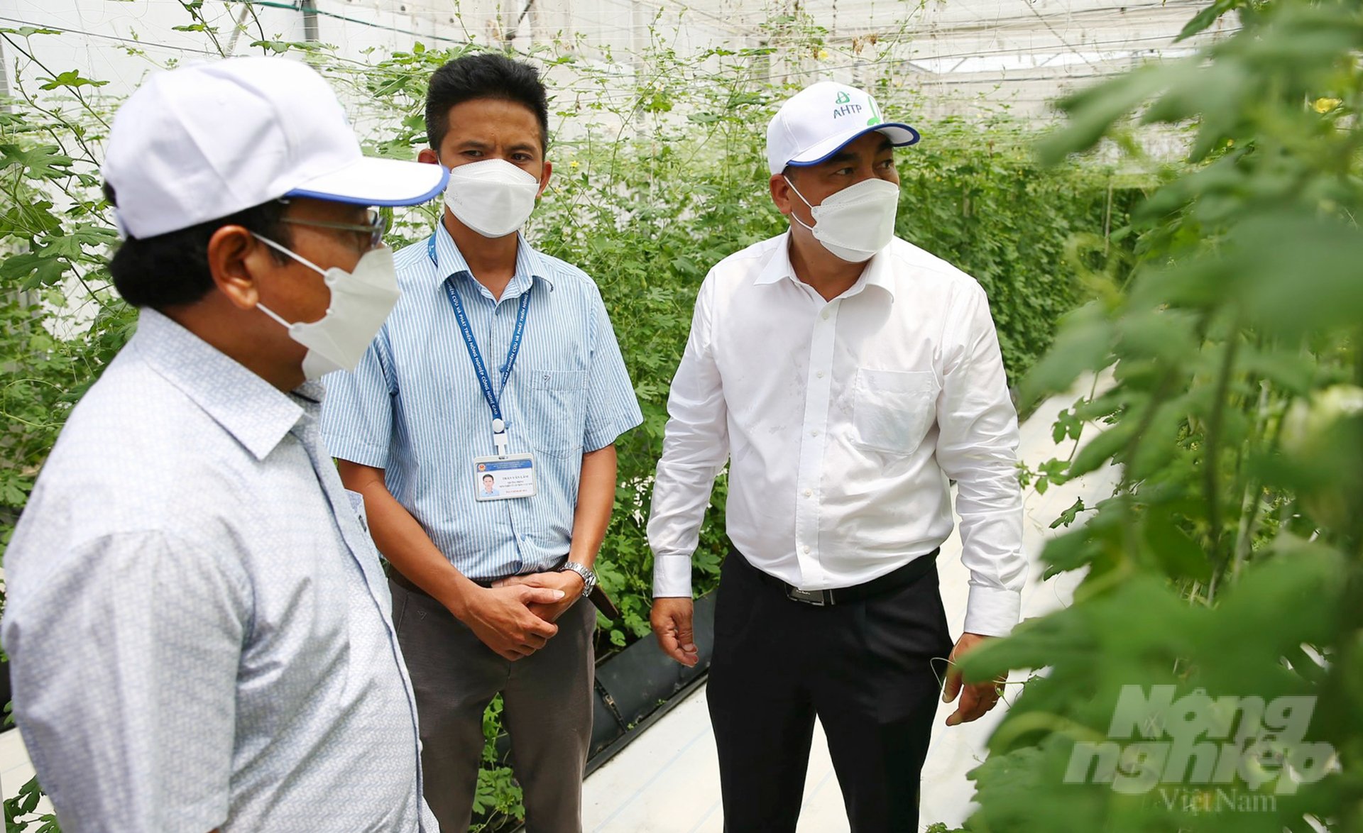 Đoàn khách Lào tham quan mô hình trồng khổ qua trong nhà màng Israel tại Khu Nông nghiệp công nghệ cao TP.HCM.